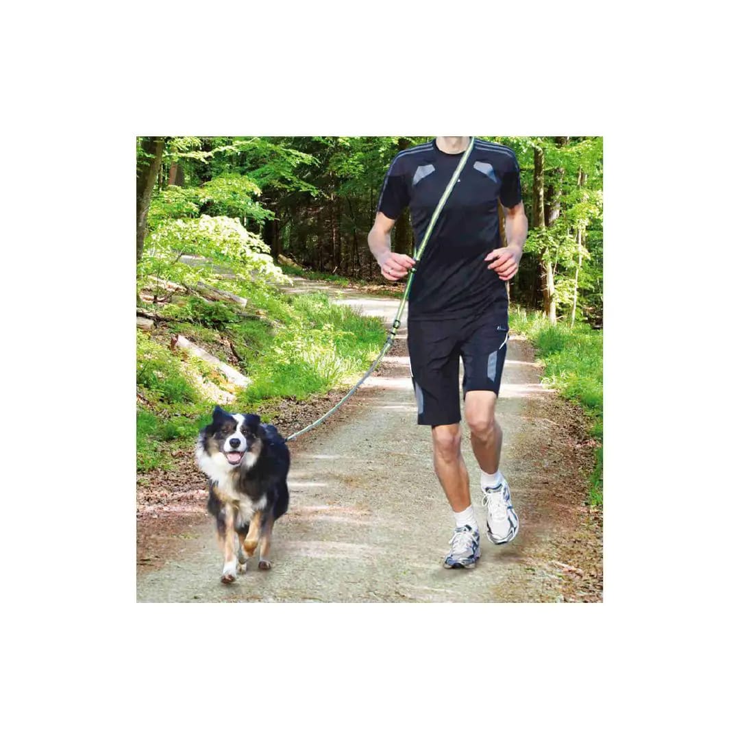TX CORREA PARA CORRER C/PERRO, 133-180 cm/20 mm, GRIS/VERDE3