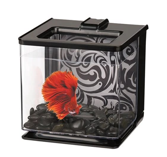 MARINA BETTA EZ CARE NEGRO 2.5 L2