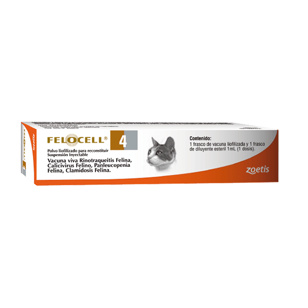 FELOCELL 4 - 1 DS1