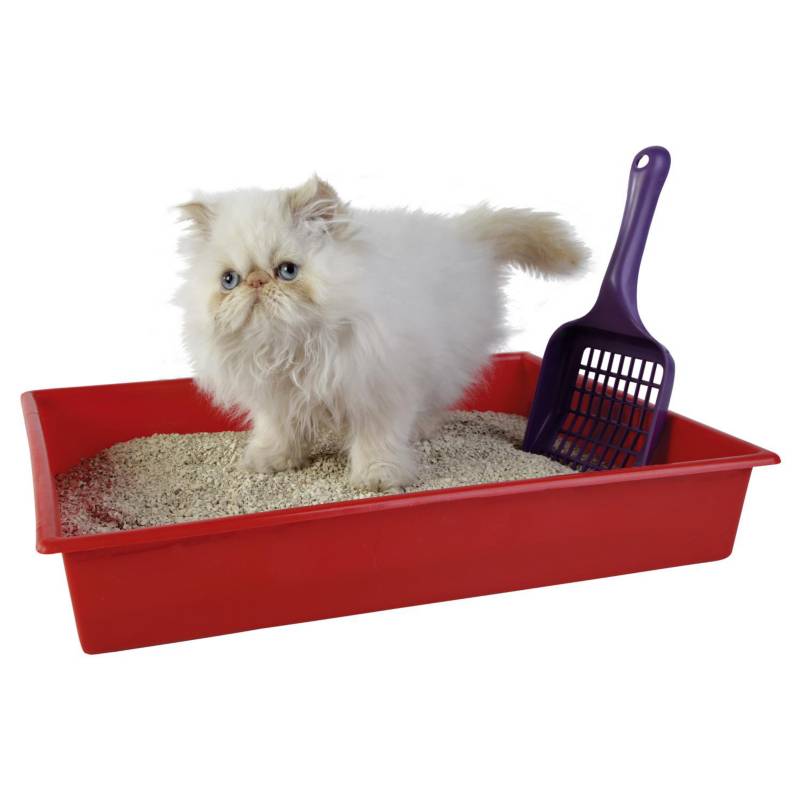 PET FRIENDS PALA SANITARIA3