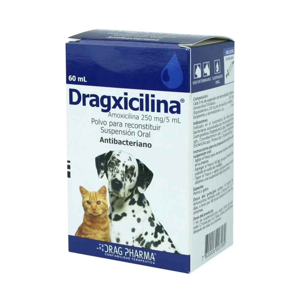 Dragxicilina Amoxicilina 250 mg/5mL Suspensión 60 mL1