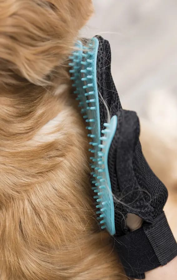 TX GUANTE MASAJE CEPILLADO, 16x24 cm2