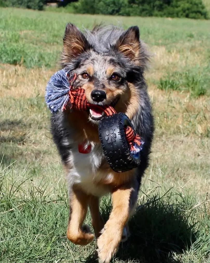 MM TIREBITERII LARGE 15.2 CM C/CUERDA2