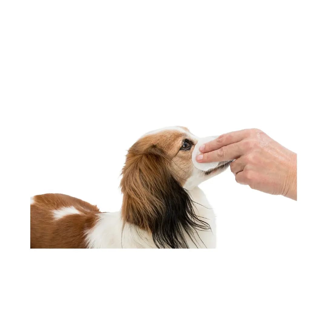 TX EYE CARE, ALMOHADILLAS PARA EL CUIDADO DE OJOS, 100 un2