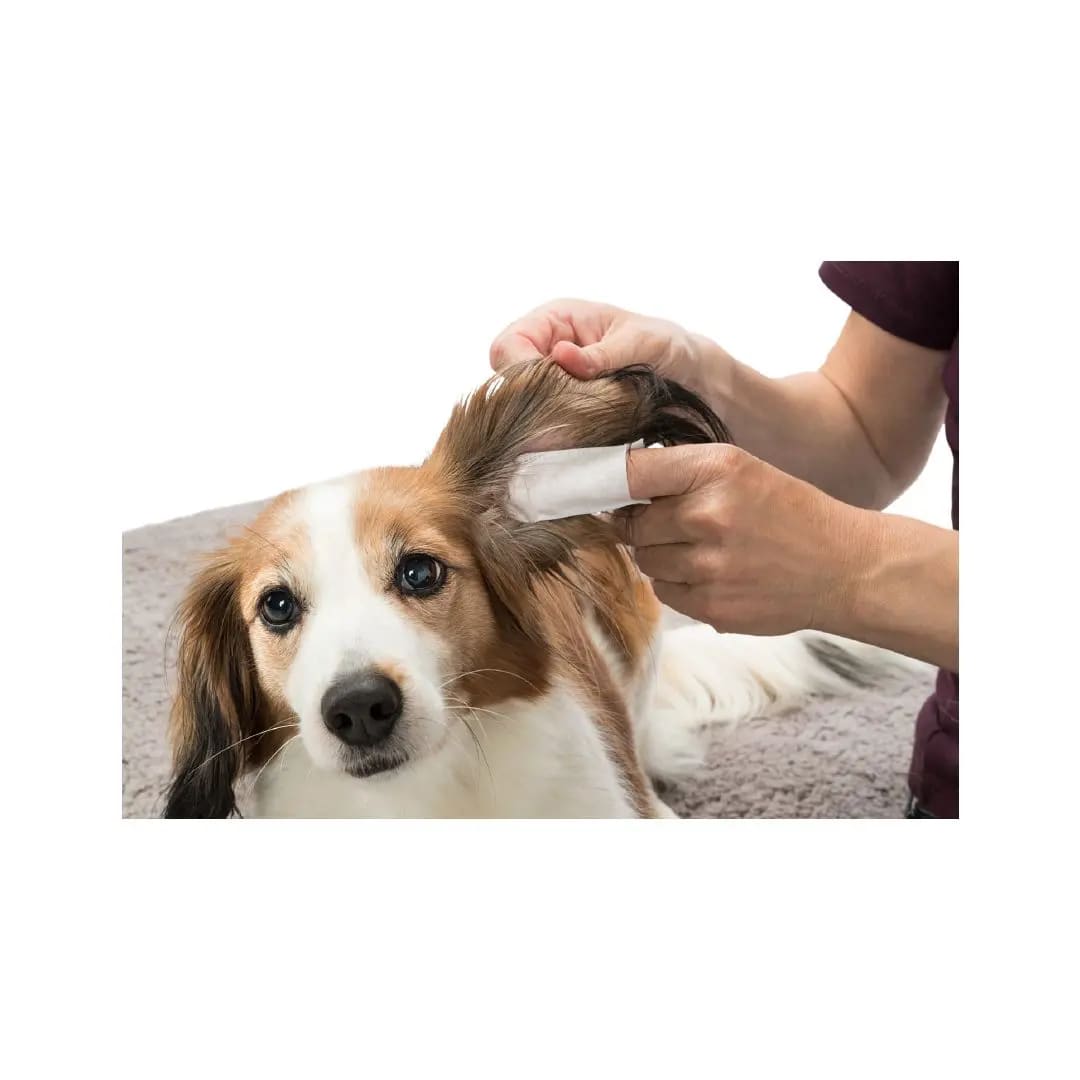 TX EAR CARE, ALMOHADILLAS PARA EL CUIDADO DE OIDOS, 50 un3