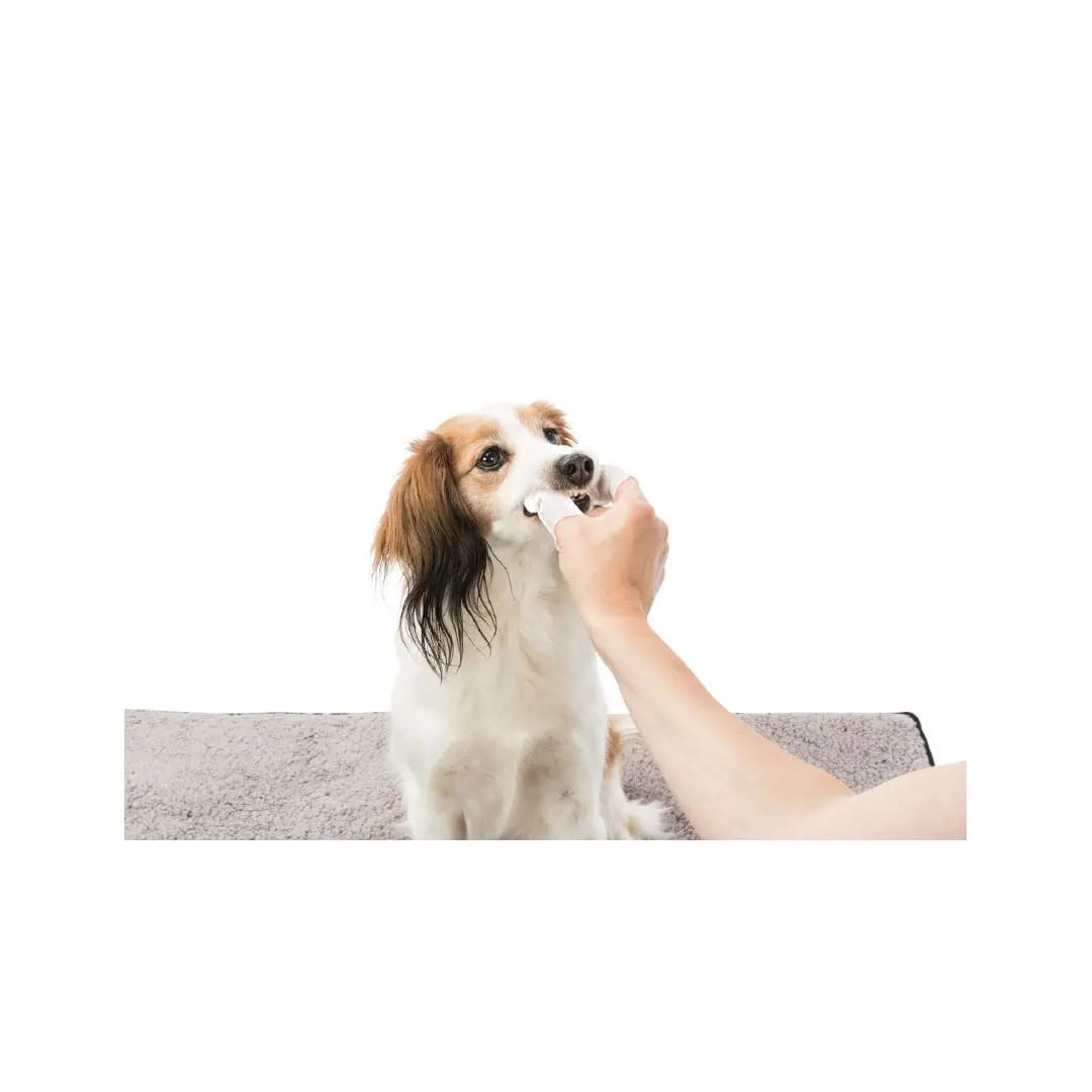 TX DENTAL CARE, ALMOHADILLAS PARA LIMPIAR DIENTES, 50 un3