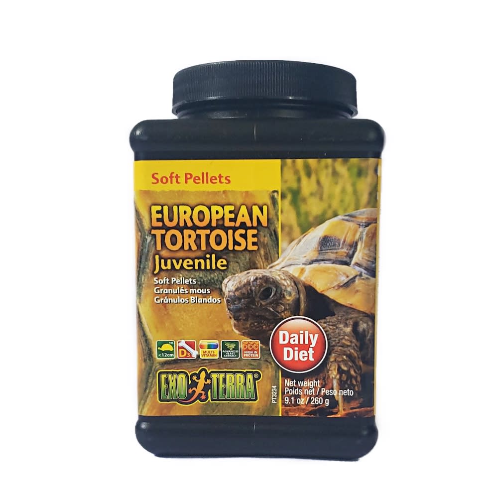 EXO TERRA TORTUGA TERRESTRE  JUVENIL 2601