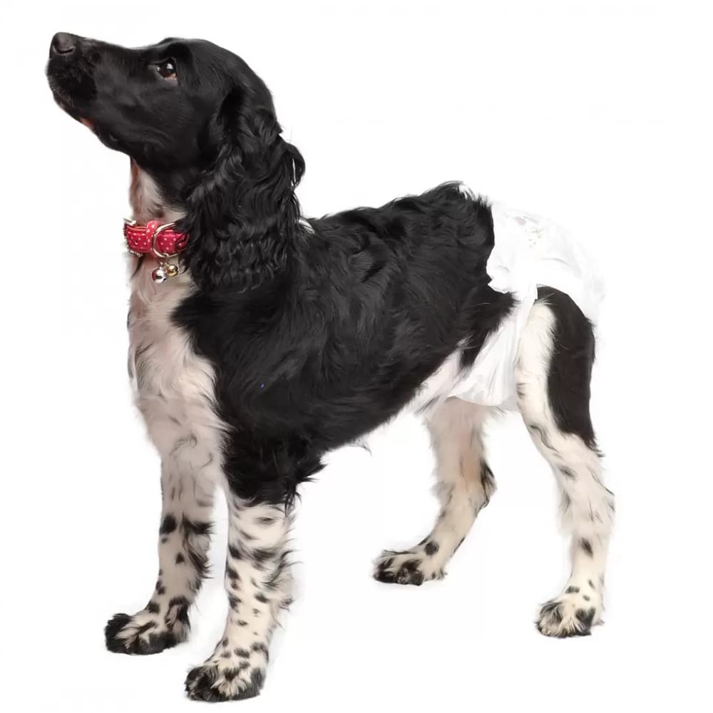 PAÑALES DESECHABLES PERROS 12UN - TALLA XL(55/65CM)1