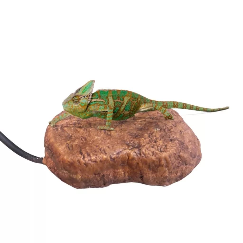 EXO TERRA ROCA CALEFACTORA ELECTRONICA S2