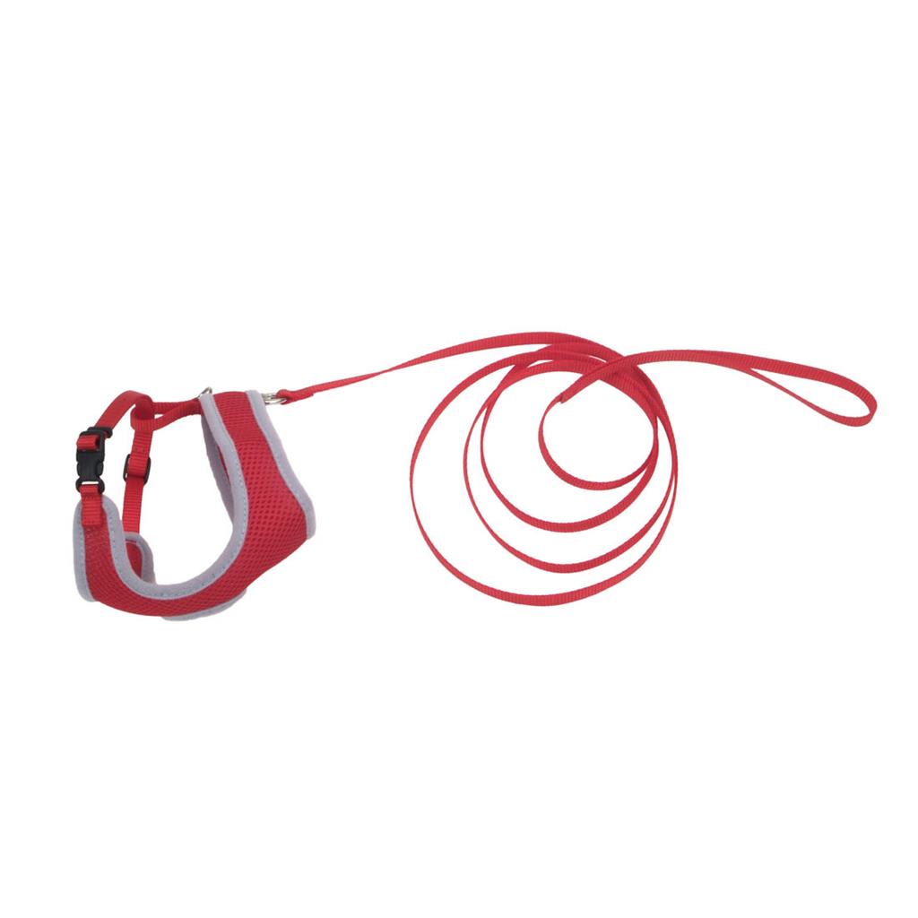 COASTAL COMFORT SOFT CAT ARNES CON TRAILLA ROJO1