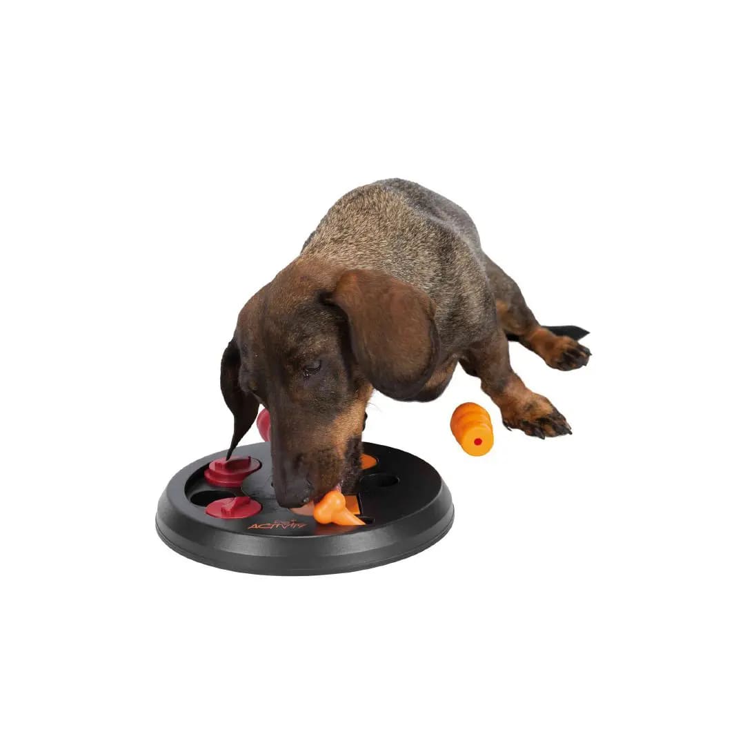 TX DOG ACTIVITY, JUEGO INTERACTIVO FLIP BOARD, 23 cm D2