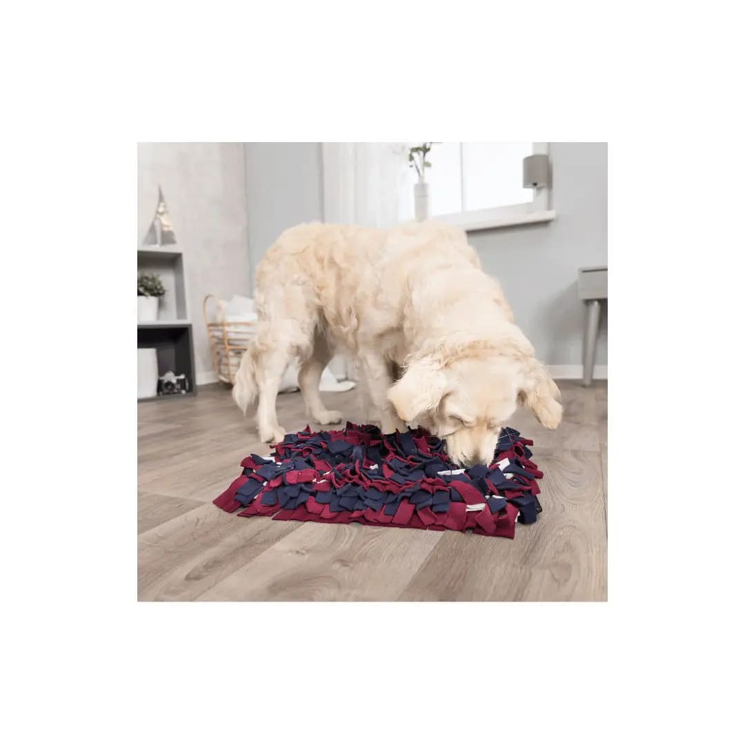 TX DOG ACTIVITY, JUEGO INTERACTIVO ALFOMBRA OLFATI, 50x34 cm4