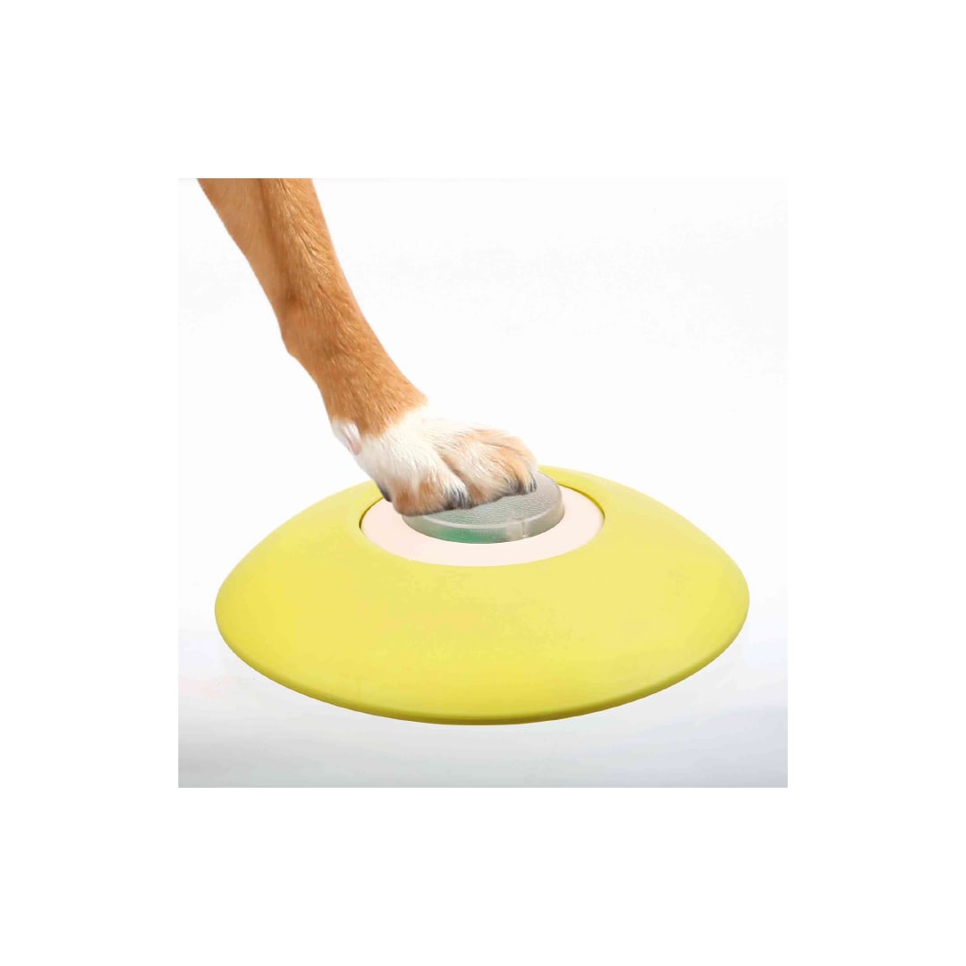 TX DOG ACTIVITY, JUEGO INTERACTIVO MEMORY TRAINER, 20x24 cm 3