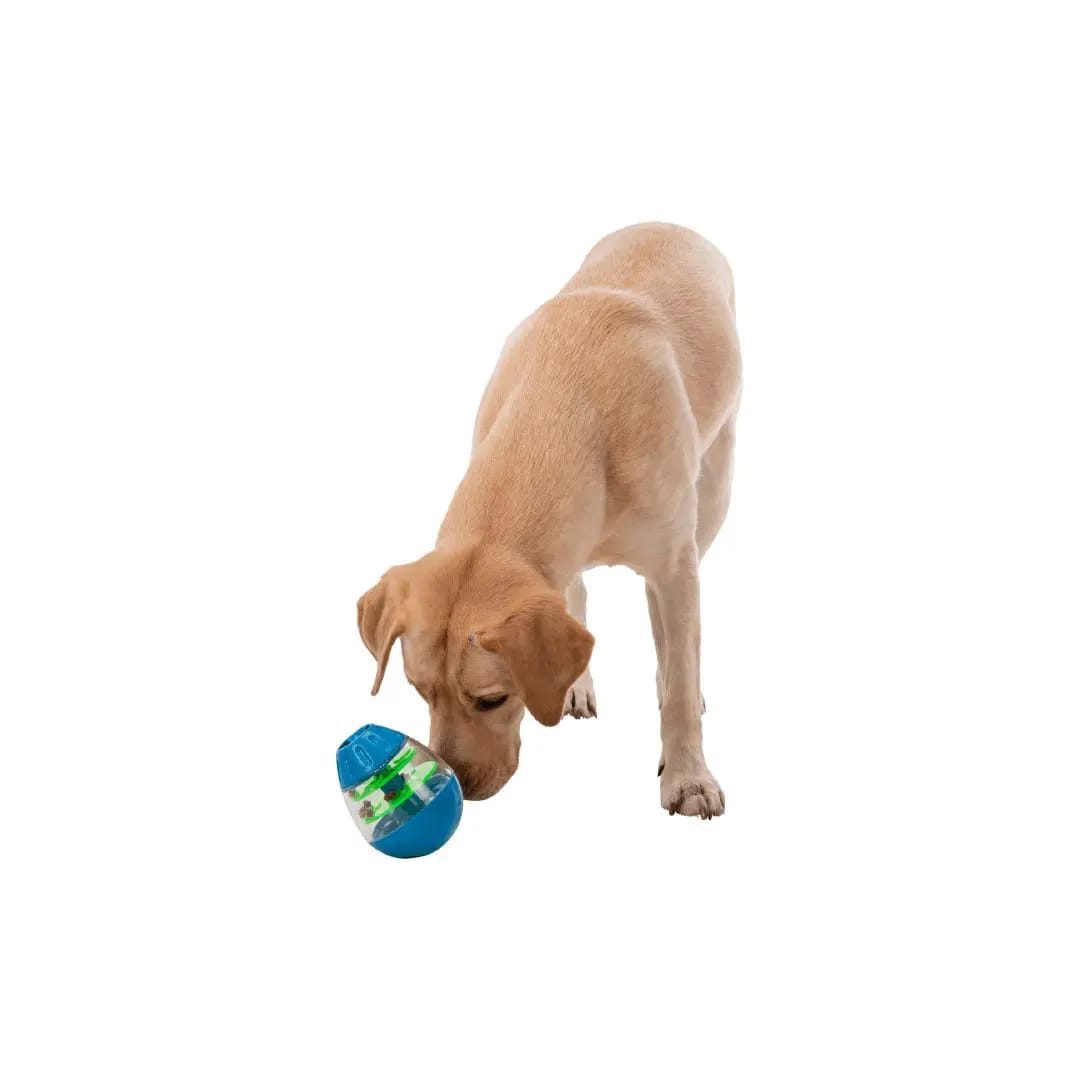 TX JUEGO HUEVO CON VOLTERETAS PARA SNACK, 13 cm3