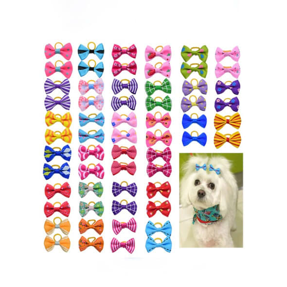 CAJA PINCHES PERROS (63 UN)1