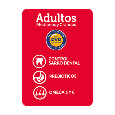 Champion Dog Adulto Carne 3 kg2