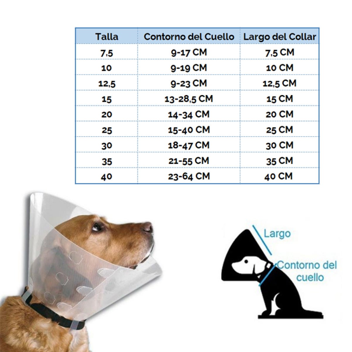 Collar Isabelino 12,5 CM3