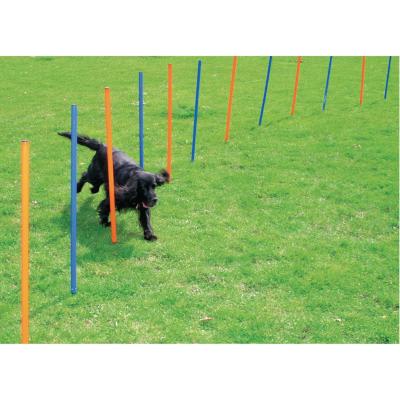 PAWISE VARAS AGILITY 12 UNID1