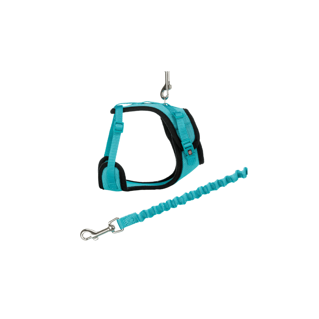TX Y-ARNES GATO DE MALLA Y CORREA ELASTICA, 39-60 cm/10 mm1