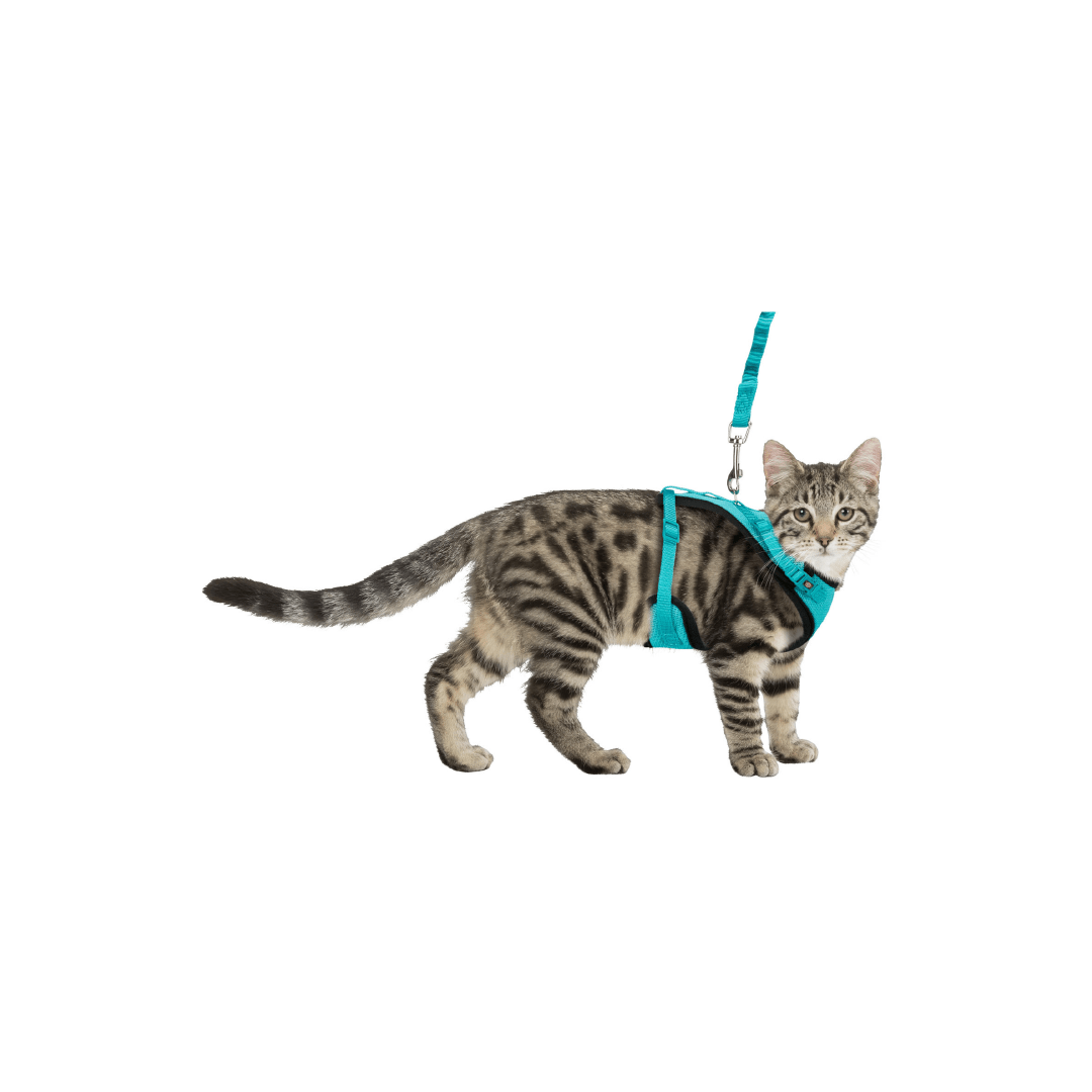 TX Y-ARNES GATO DE MALLA Y CORREA ELASTICA, 39-60 cm/10 mm4