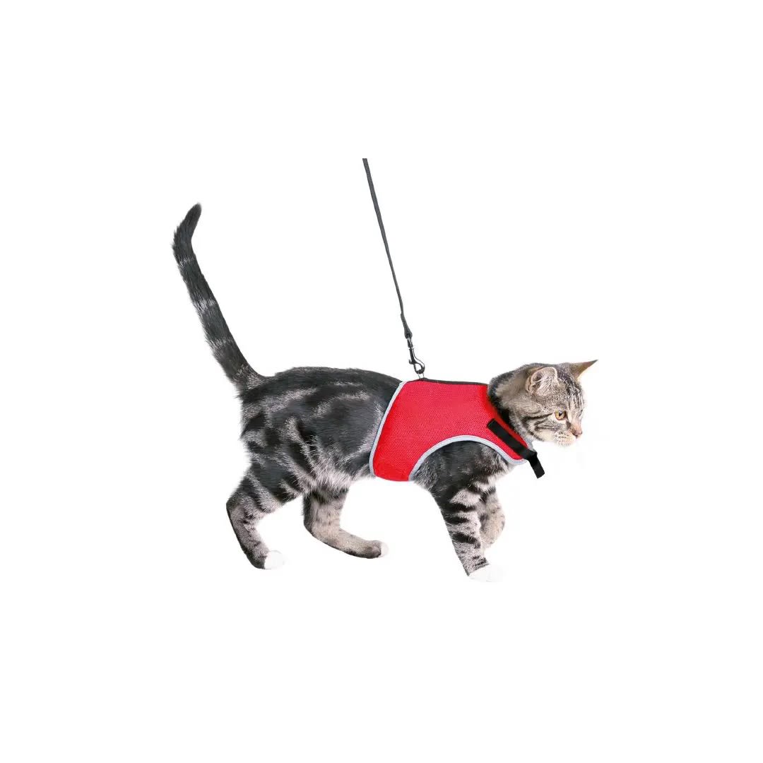 TX ARNES GATO SUAVE C/CORREA, XL: 36-54 cm, 120 cm, NEGRO2