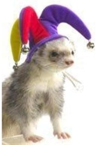 GORRO HURON BUFON1