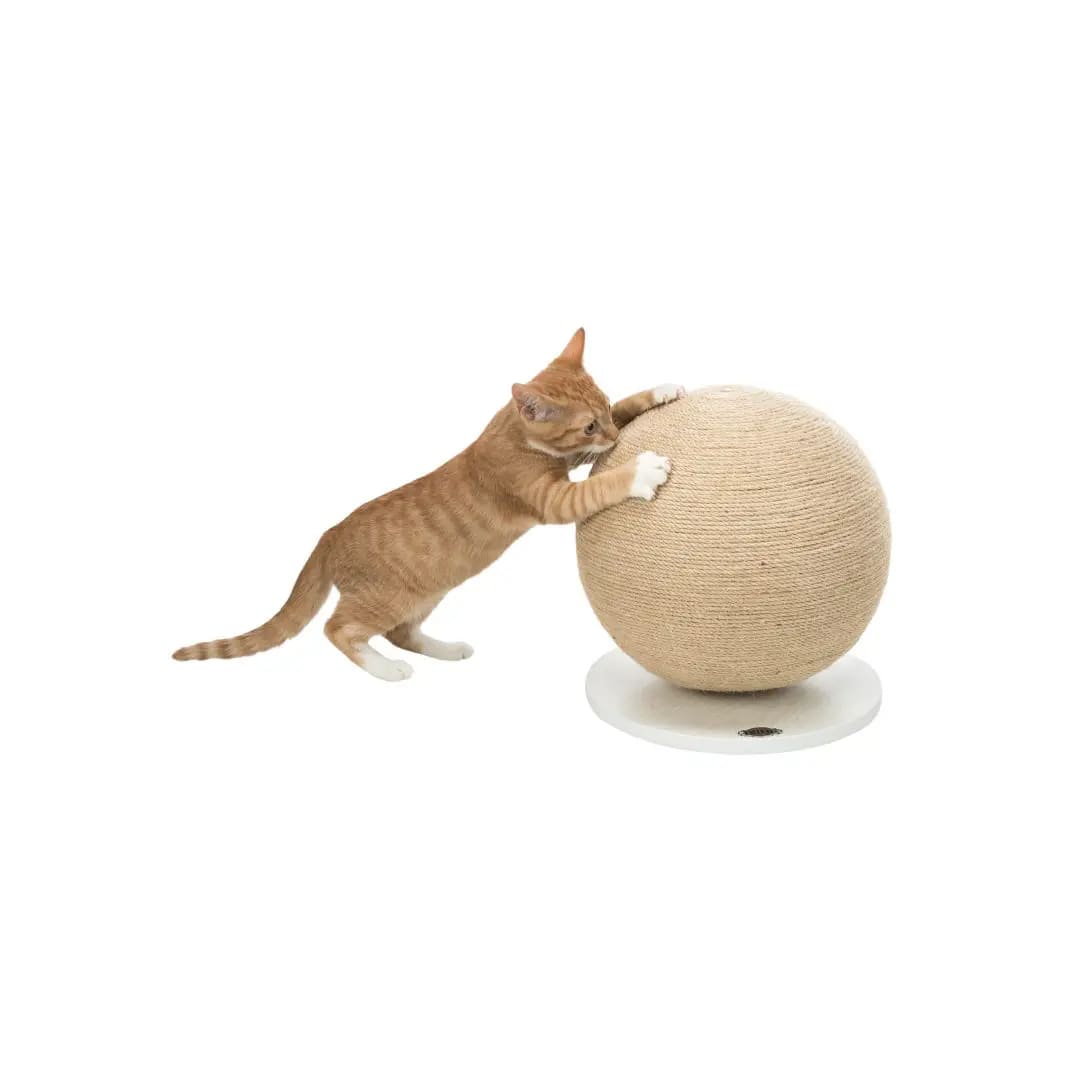TX PELOTA RASCADORA SOBRE BASE, 31x29 D cm2