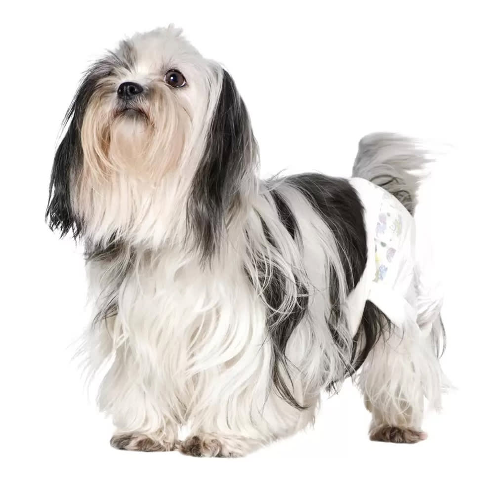 PAÑALES DESECHABLES PERROS 12UN - TALLA L(45/55CM)1