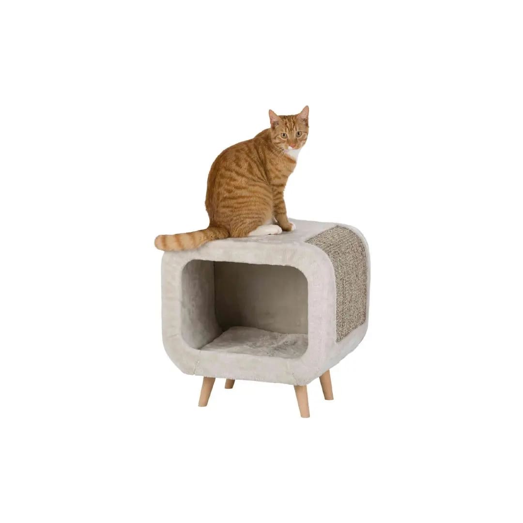 TX MUEBLE CUEVA ALICIA, 48x48x38 cm2