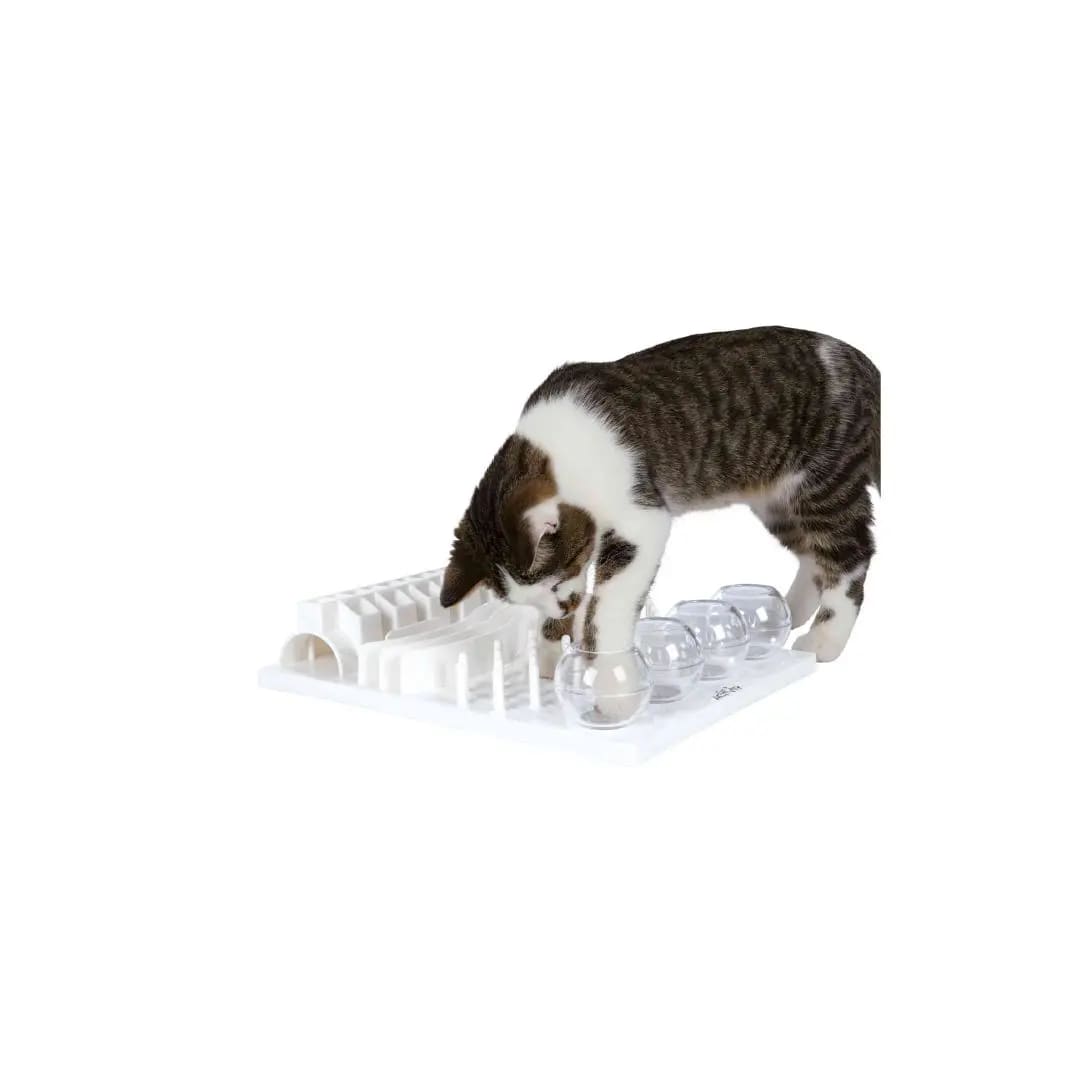 TX CAT ACTIVITY, JUEGO INTERACTIVO TABLERO, 30x40 cm3