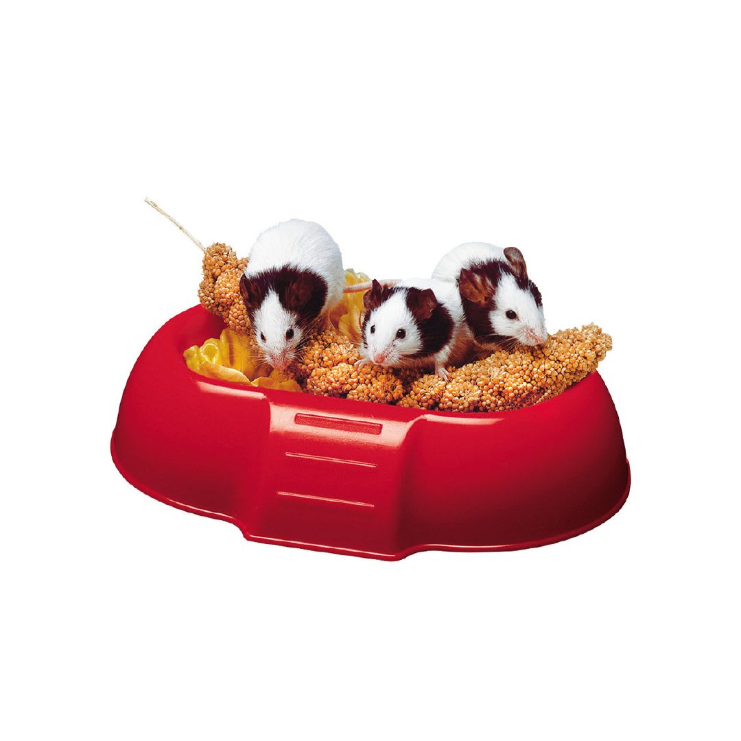 Fp Plato De Alimento Para Hamster, Dada, 16.5X11.5X3.5H cm1