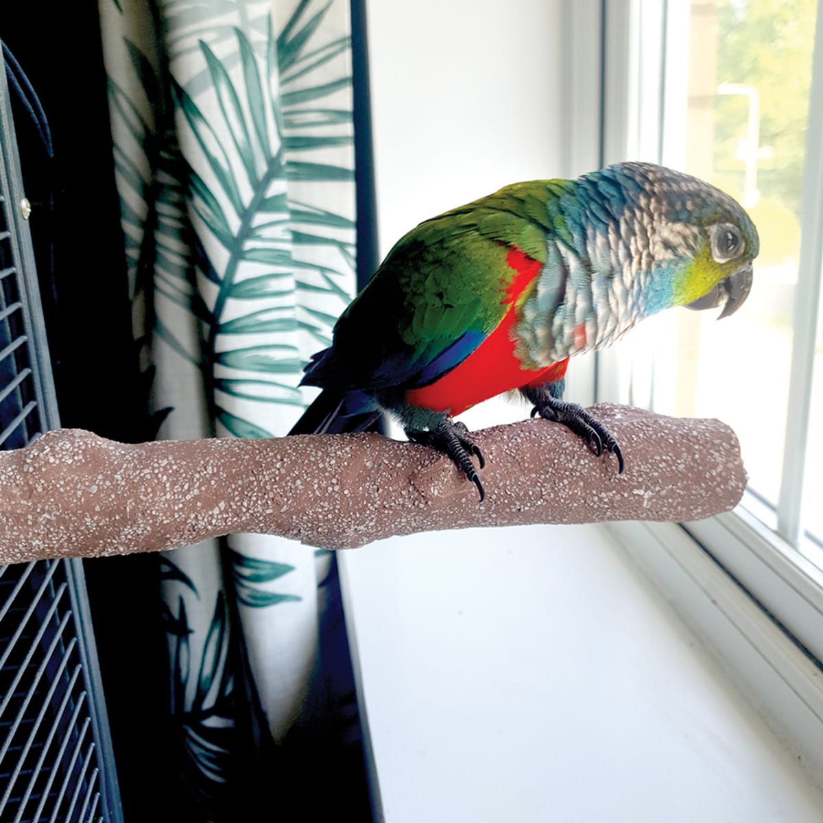 BEACH BANCH SMALL PERCH3