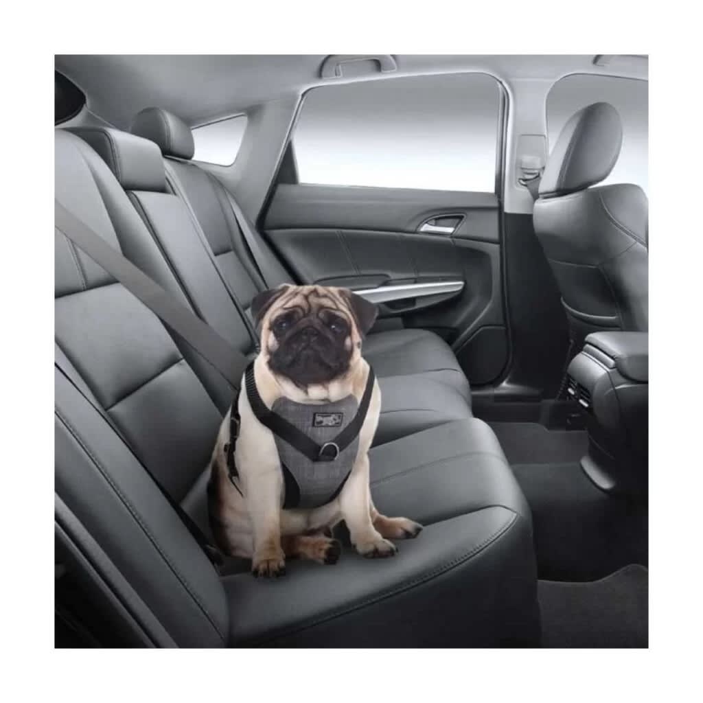 AFP TRAVEL DOG ARNES SEGURIDAD S2