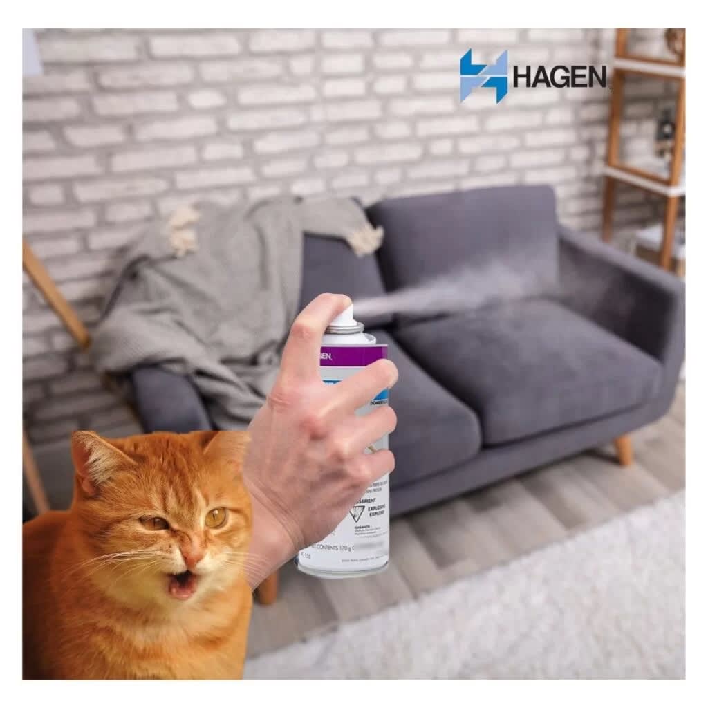 HAGEN REPELENTE GATO EN AEROSOL INTERIORES2