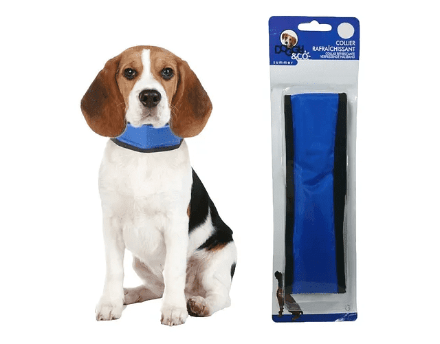 COLLAR PERRO REFRESCANTE S1