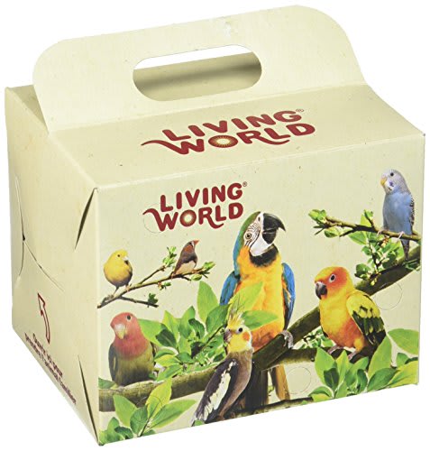 LIVING WORLD CAJA CARTON VENTA 10X10X13CM1