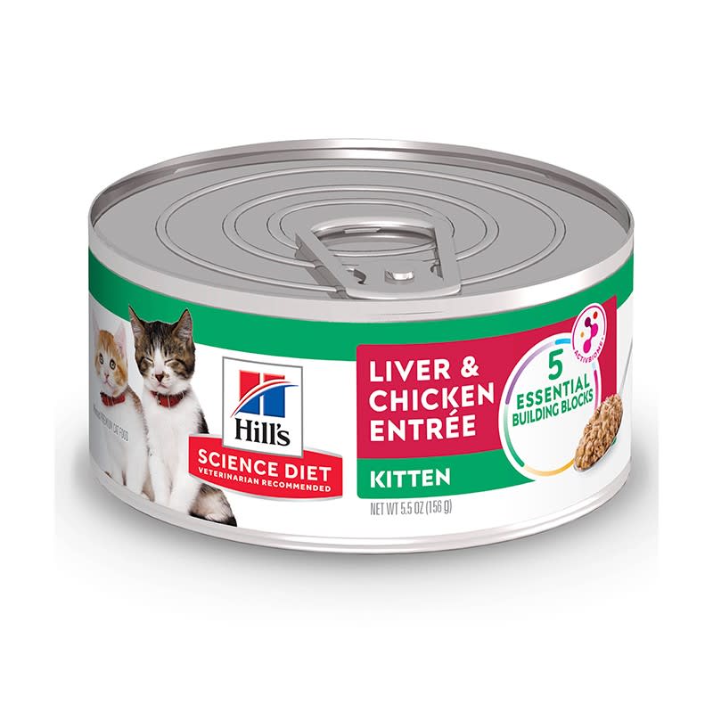 HILLS LATA KITTEN LIVER CHICKEN 156 GR1