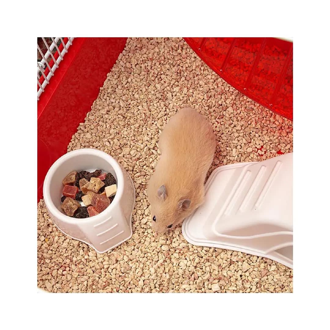 Fp Jaula Para Hamster Coney Island / 50X35X25H Cm2