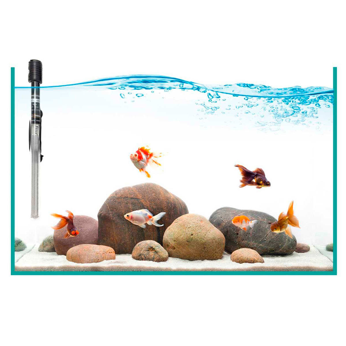 CALEFACTOR AUTOMATICO BOYU, 100W5