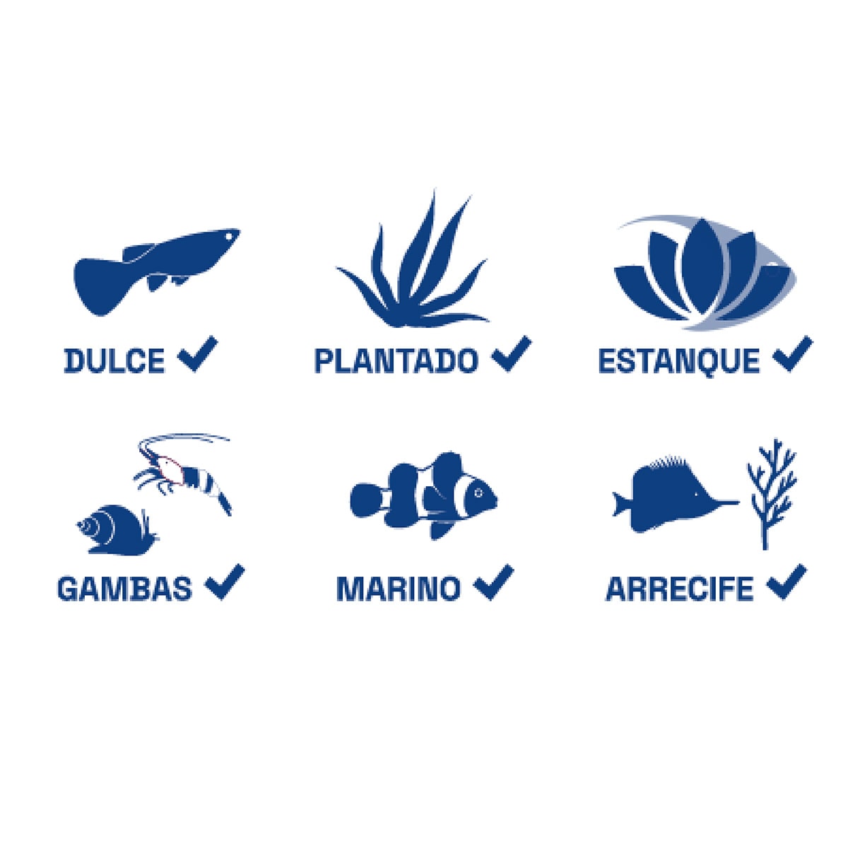 CALEFACTOR AUTOMATICO BOYU, 100W6