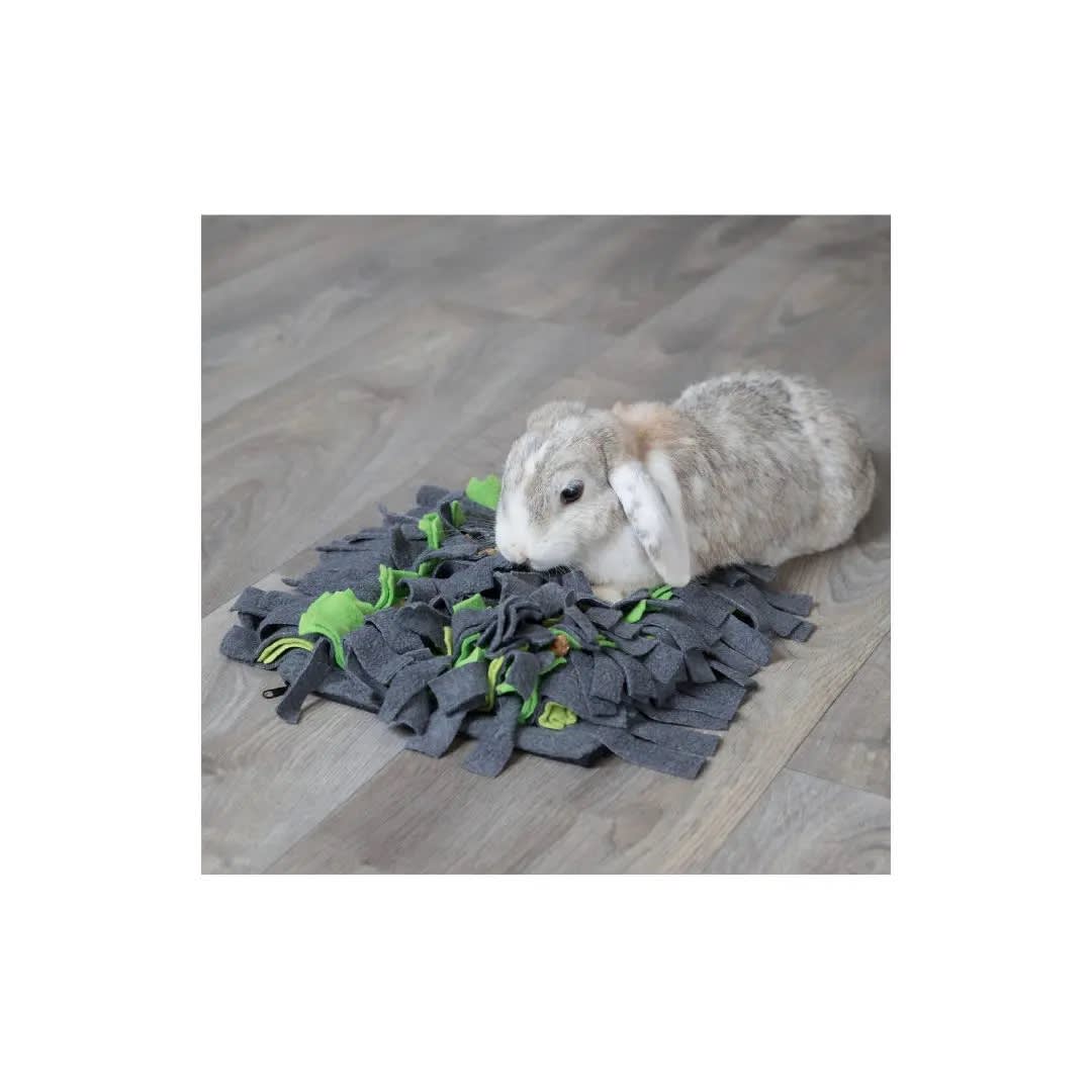 TX ALFOMBRA OLFATIVA PEQ ANIMALES, 27x20 cm, GRIS/VERDE4