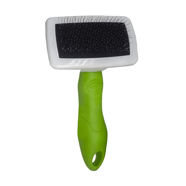 PAWISE CEPILLO CARDA1