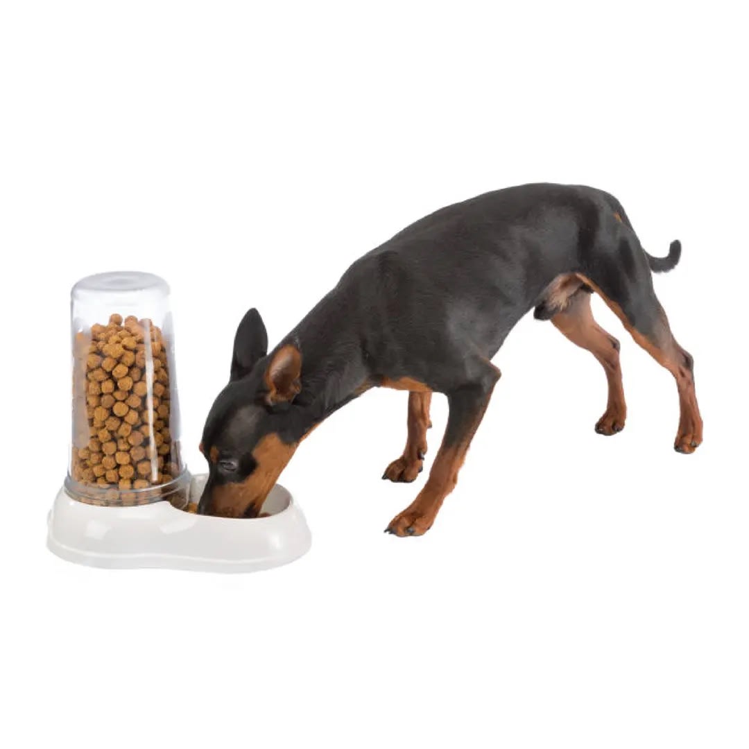 FP DISPENSADOR AGUA/ALIMENTO AZIMUT, 1500 ml, COLORES3