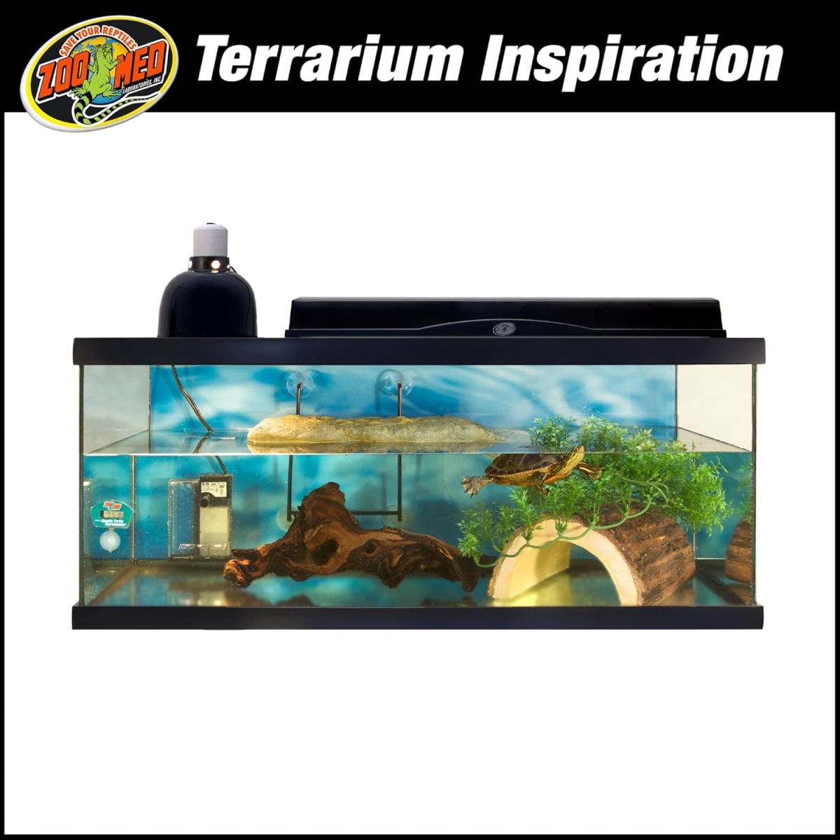 REPTIHABITAT KIT TORTUGA4