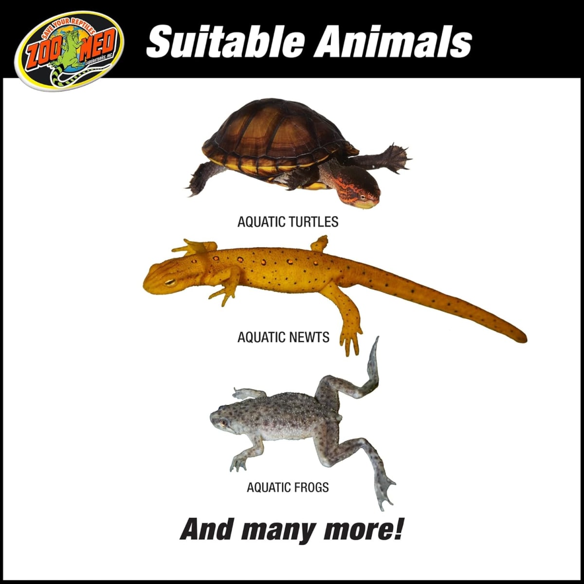 REPTIHABITAT KIT TORTUGA5