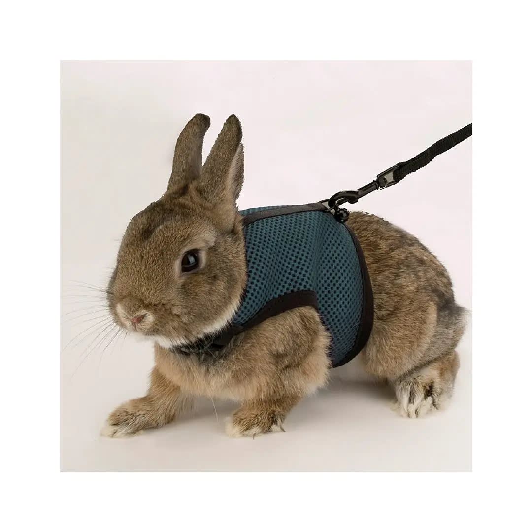 FP ARNES PEQ ANIMALES, SMALL, 10-14 cm/13-17 cm/10 mm2