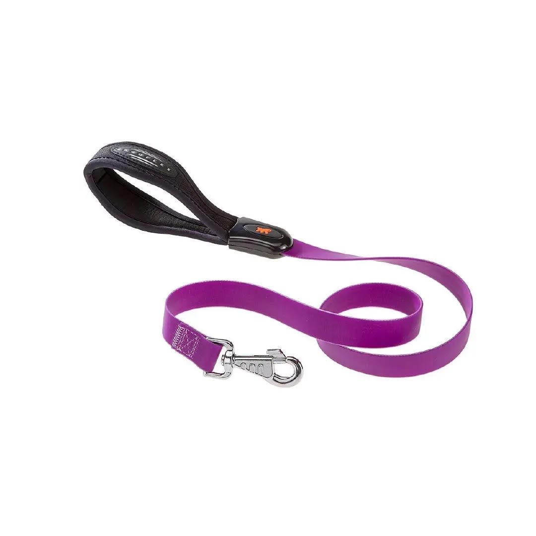 Fp Correa Evolution, 16 Mm/110 Cm, G16/110, Morado1