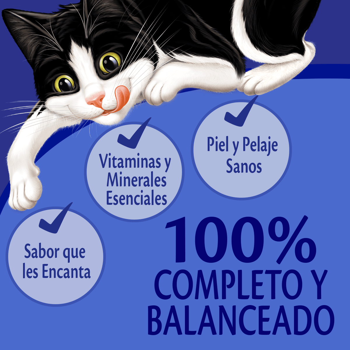 Caja Felix Classico con Carne 85g2