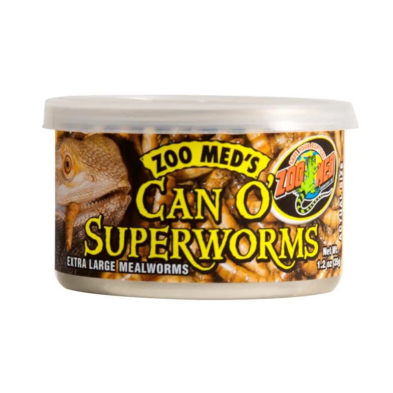 LATA DE GUSANOS EXTRAGRANDES ZOPHOBAS1