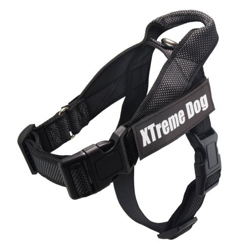 ARNES X-TREME - TALLA S (40/45-60 CM)1